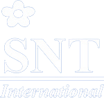 SNT International Logo